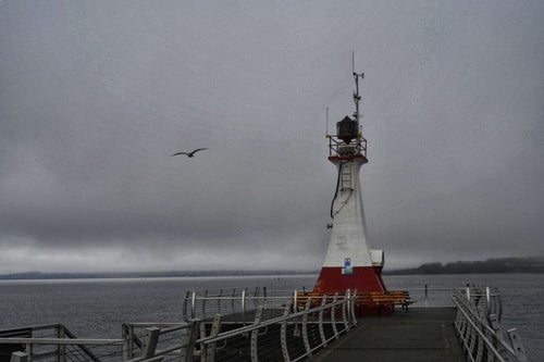 Beacon and Bird