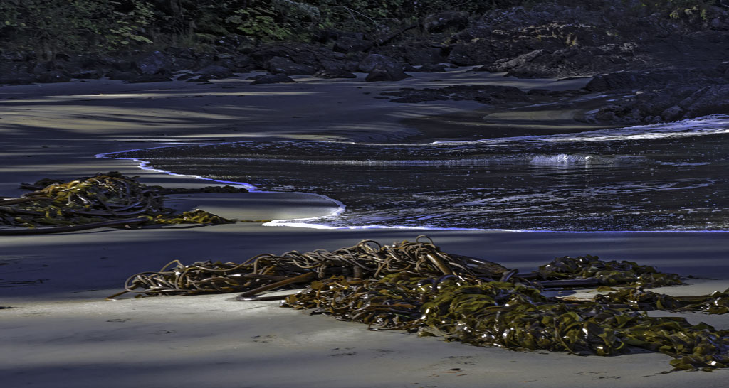 Halfmoon Bay